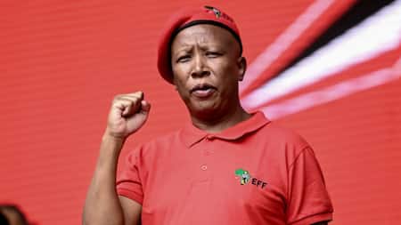 Julius Malema signals willingness to form coalitions after 2024 elections
