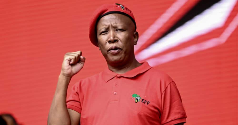 EFF leader Julius Malema said his willing to partner with other political parties