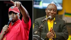 EFF's Floyd Shivambu throws punches at Ramaphosa and ANC: "Looks like you haven’t heard voters"