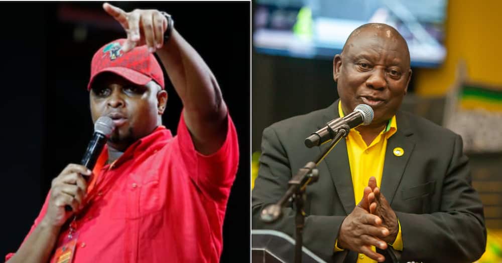 EFF, Floyd Shivambu, President Cyril Ramaphosa, ANC, Twitter, elections re-run