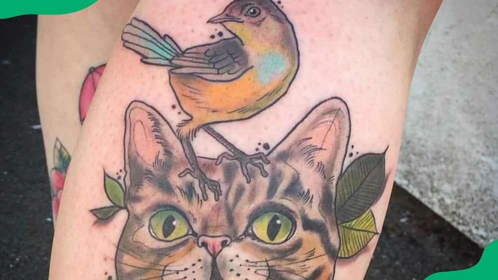 Cat and bird tattoo
