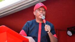 EFF leader Julius Malema claims 'white supremacy' at the heart of his assault case