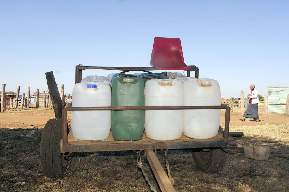 Donkey cart water service in Sekhukhune.
