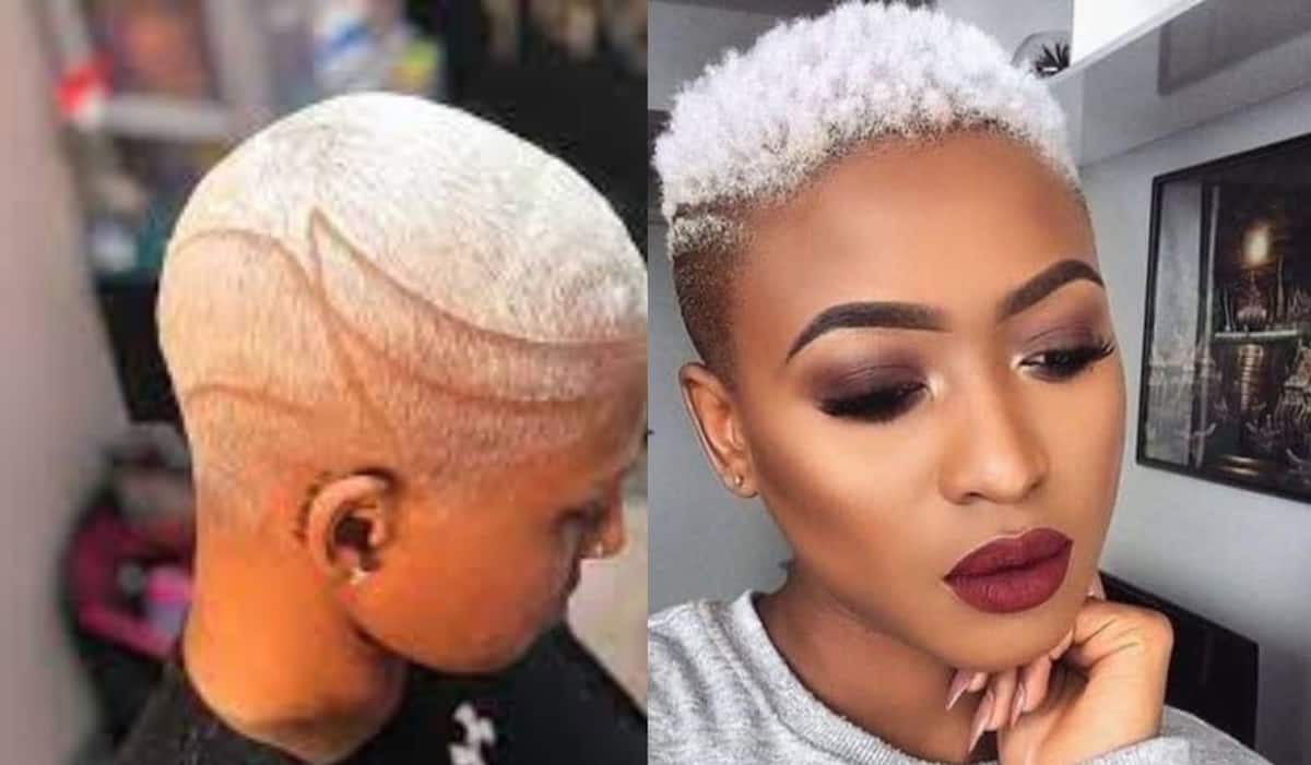 1. "Bleached Short Hair with Blue Tips: 10 Stunning Looks to Try" - wide 5