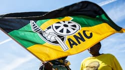 2 ANC officials gunned down in drive by shooting Nelson Mandela Bay ahead of provincial conference