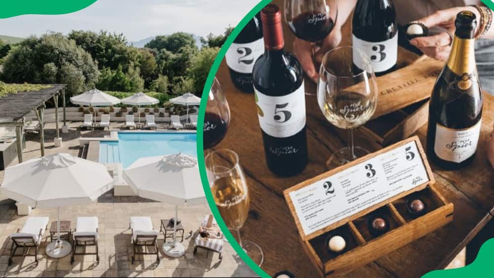 best wine farms in Cape Town