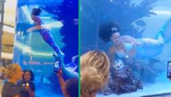 Cresta Mall mermaid goes TikTok viral after tail gets caught in reef, South Africans react to video