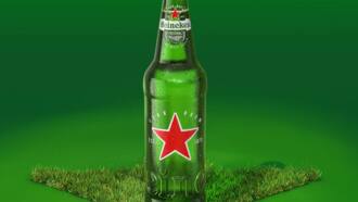 Heineken®, one of a kind beer gets one of a kind bottle