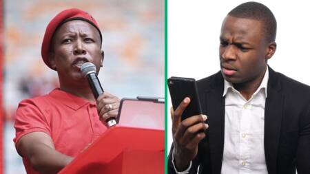 Julius Malema vows to end political killings in KZN: EFF's bold promise