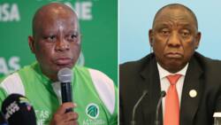 South Africans call out ActionSA leader Herman Mashaba for saying 2024 general elections should be moved up