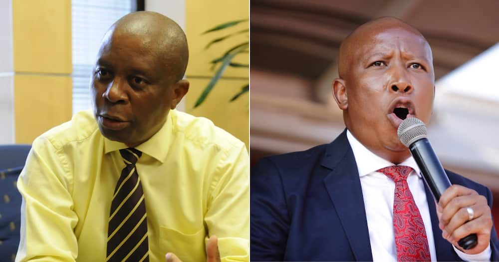 Mashaba slams Malema's bid to postpone local elections until 2024