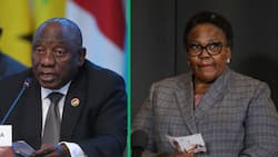 President Ramaphosa suspends deputy Minister Dipuo Peters without pay