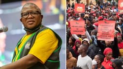 Fikile Mbalula continues to slam EFF’s shutdown, accuses protesters of being anti-democratic