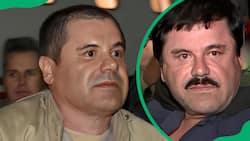 El Chapo's net worth: How much money did the kingpin make?