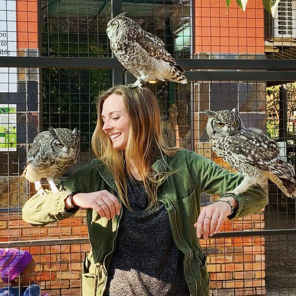 lory park zoo hours