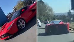 "Not the Ferrari the Ferrari dawg": SA man's reaction to spotting Italian hypercar will leave you feeling warm inside