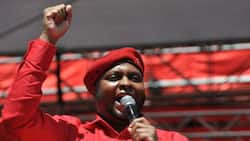 Floyd Shivambu responds to requests and criticism of EFF members interviewing Chief Justice candidates