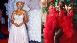 Beauty queen: Shudu stuns in online pics, Mzansi lauds her world class looks