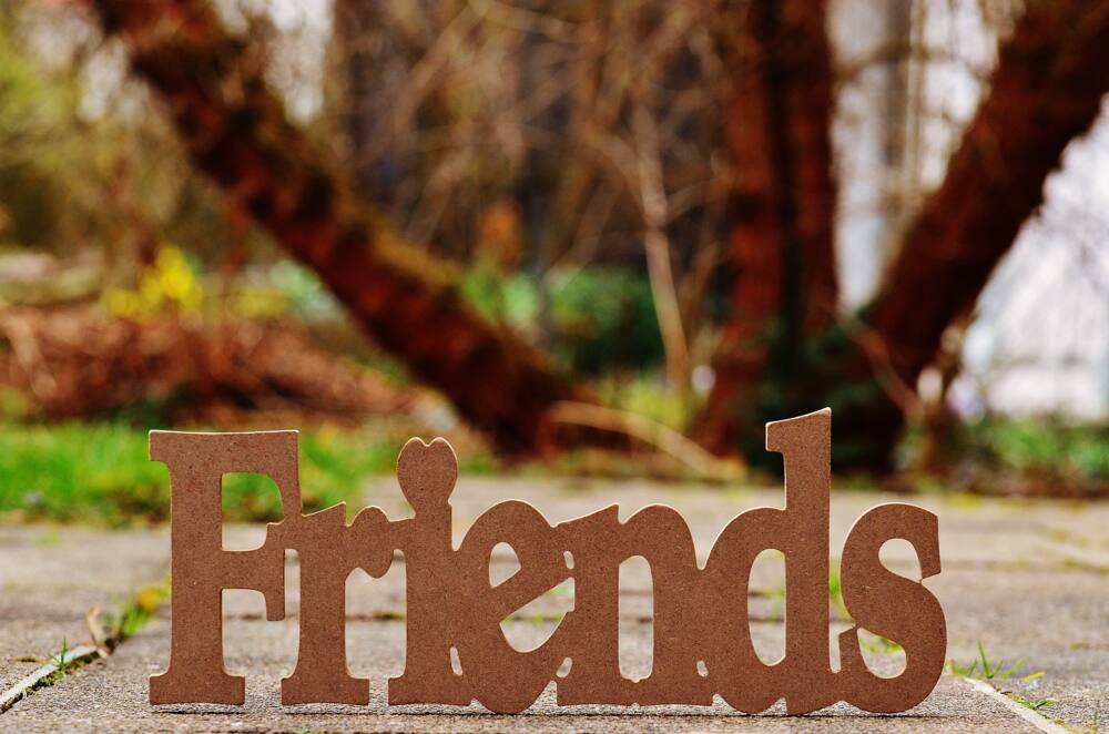 50+ Friendship Quotes to Share With Your BFF