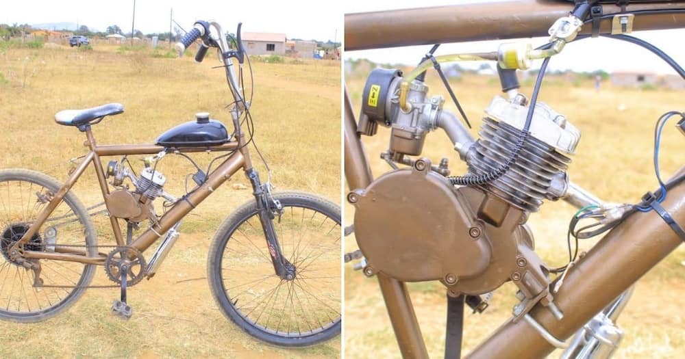 Limpopo, Student, Tlhologelo Mashala, Petrol Powered Bicycle, Delivery Business