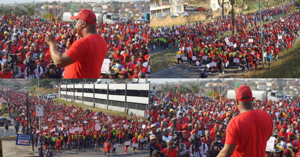 Video, EFF members, marching, phoenix, protest, social media