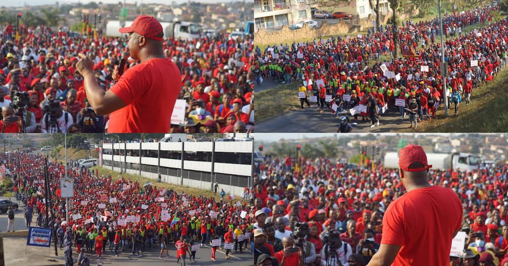 Video, EFF members, marching, phoenix, protest, social media Video, EFF members, marching, phoenix, protest, social media