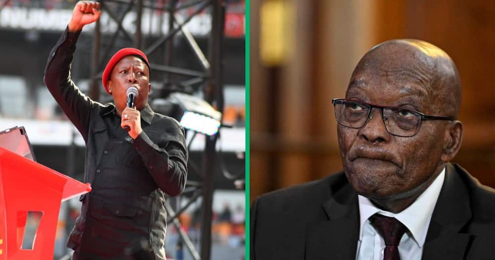 Julius Malema said that when Jacob Zuma was president, he never banned the EFF from Parliament