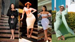 Top 20 curvy and amorphous South African celebrities