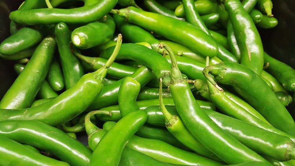 chilli sauce recipes chilli sauce recipes