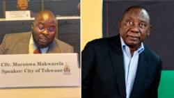 Tswhane council speaker attacked by ANC members, sparks anger and calls for Cyril Ramaphosa to take action