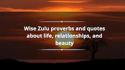 50+ wise Zulu proverbs and quotes about life, relationships, and beauty