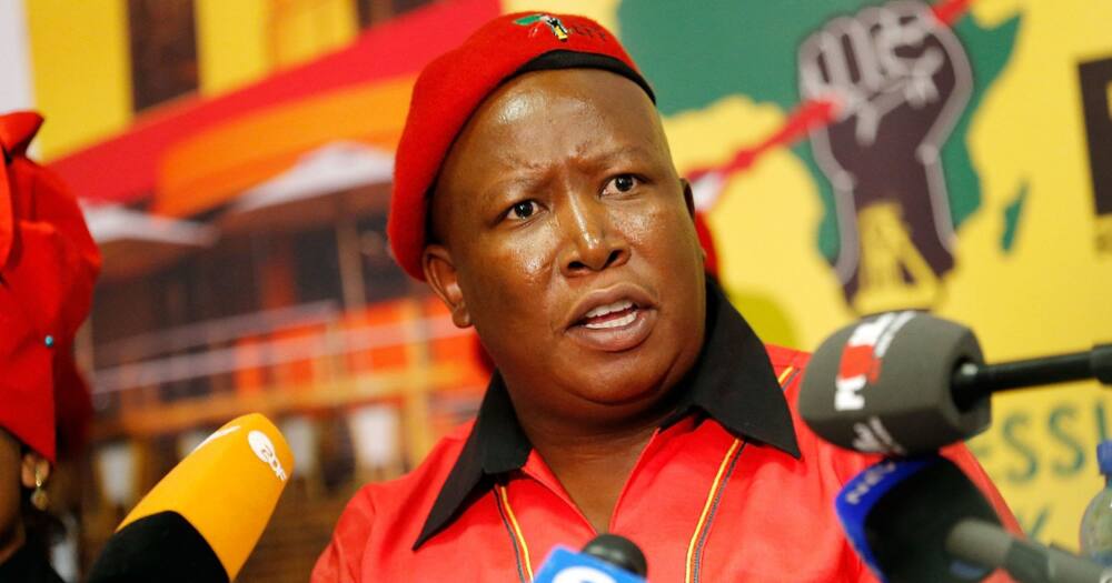 Julius Malema is unhappy with the IEC in Seshego