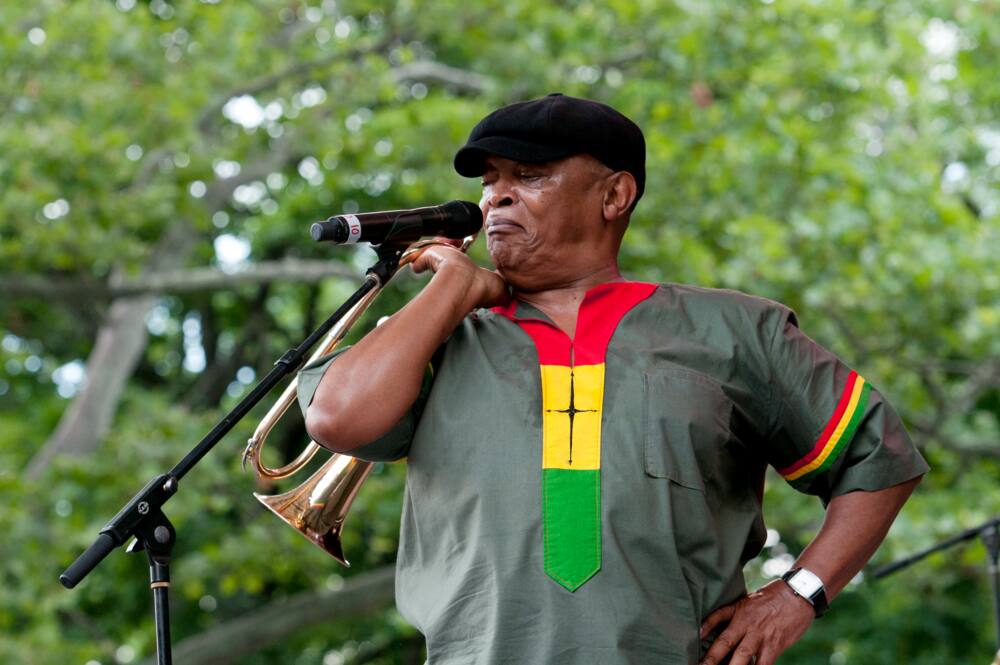 Hugh Masekela's net worth Hugh Masekela's net worth