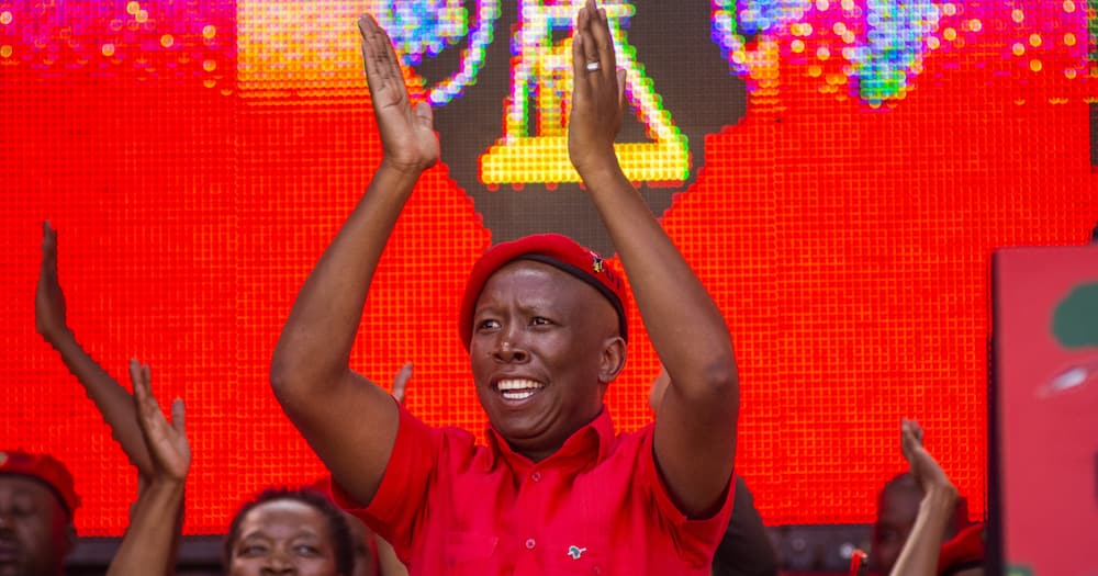EFF's Julius Malema, Free State, occupy land, municipal elections, local government elections
