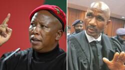 EFF slams Advocate Teffo for accusing Julius Malema of defamation, says Teffo is attention seeking