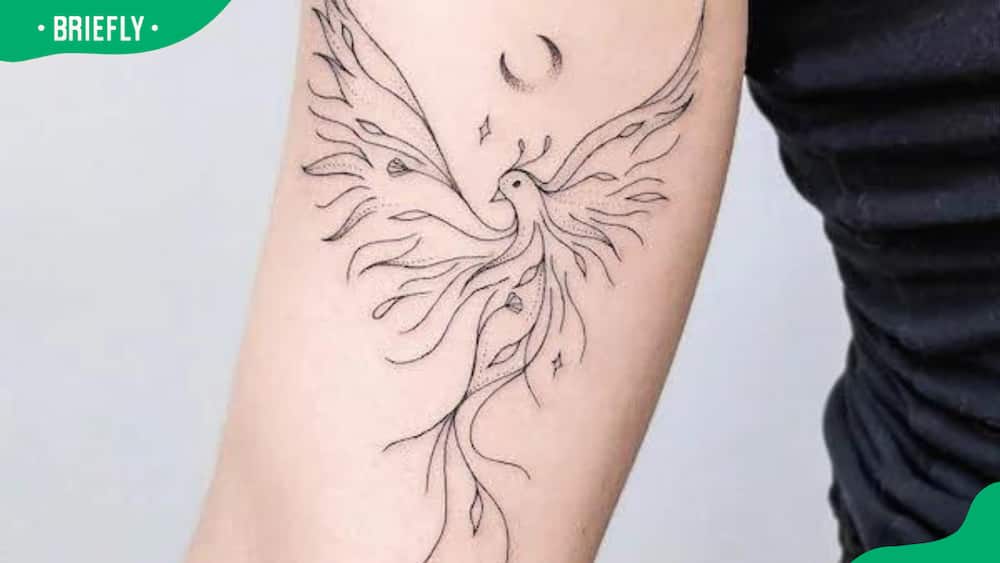 Fine line phoenix tattoo