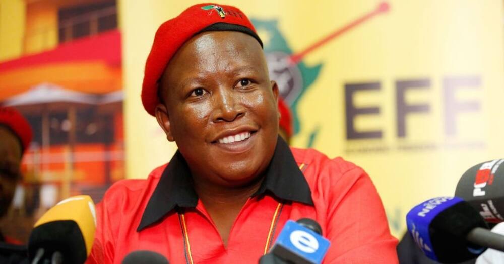 EFF, EFF Presser, politics, ANC, South African politics