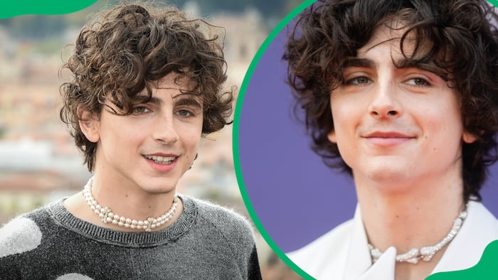 Is Timothée Chalamet gay? Everything about the American actor