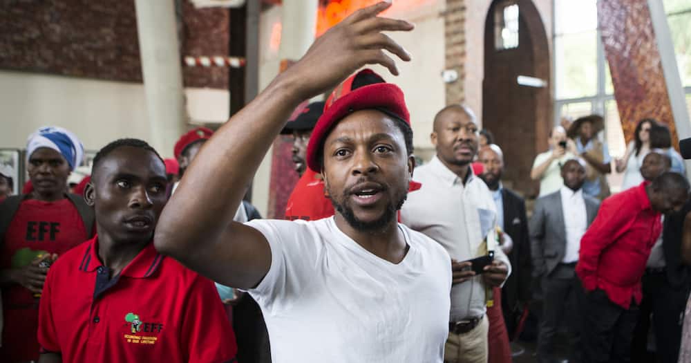 EFF, Mbuyseni Ndlozi, weighs in on ANC's demise, blames Nelson Mandela's ideology
