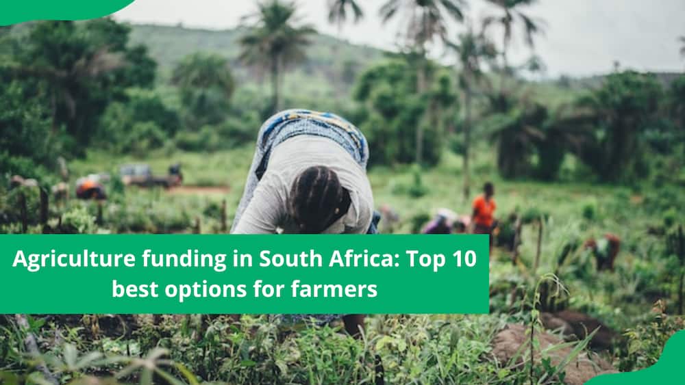 farming funding in south africa