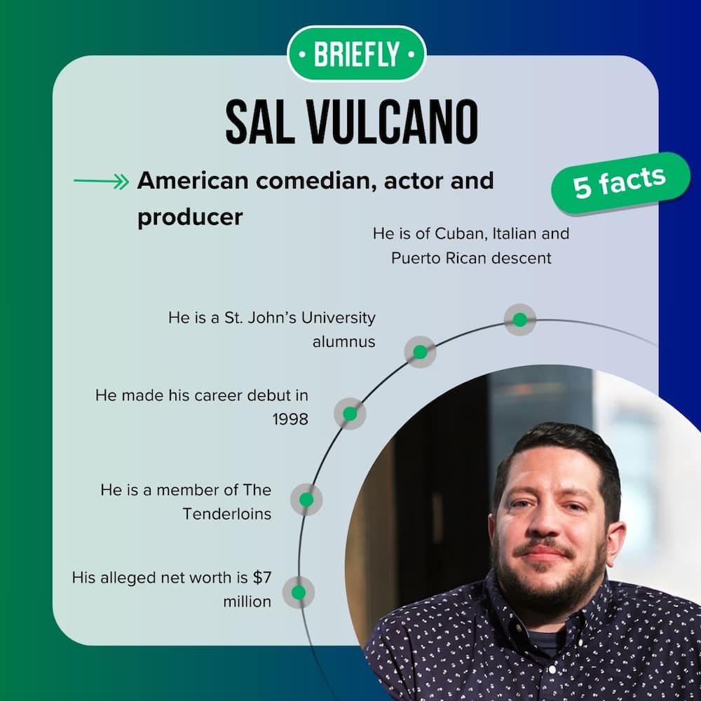 Sal Vulcano's facts