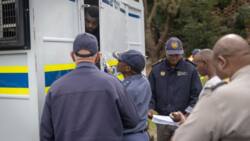 Bogus Zimbabwean dentist nabbed in a Polokwane bust, guilty of illegal immigration too