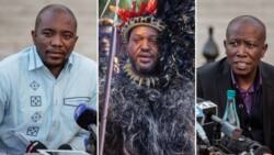 Mmusi Maimane and Julius Malema throw their weight behind King Misuzulu, recognise him as the only Zulu King