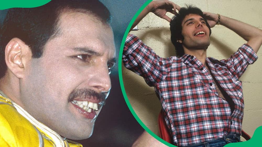 Freddie Mercury's teeth