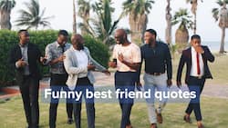 Funny best friend quotes