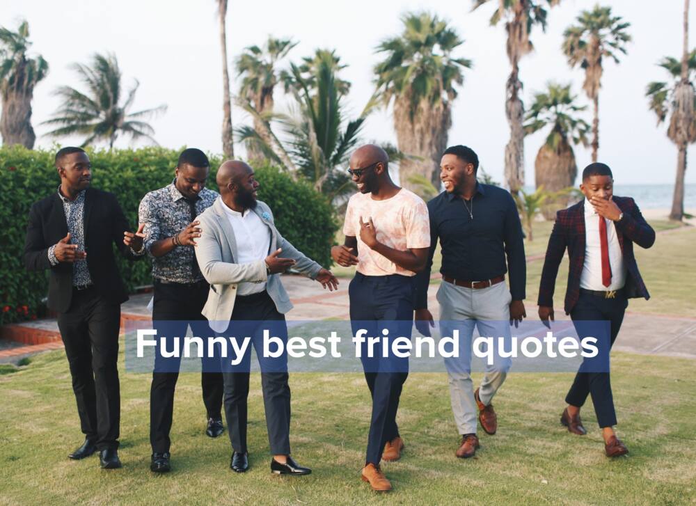 50+ Friendship Quotes to Share With Your BFF