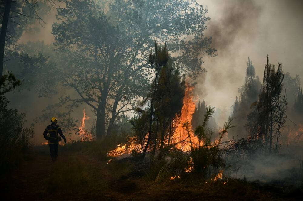 Firefighters in France's southwest are struggling to contain two massive fires that have caused widespread destruction