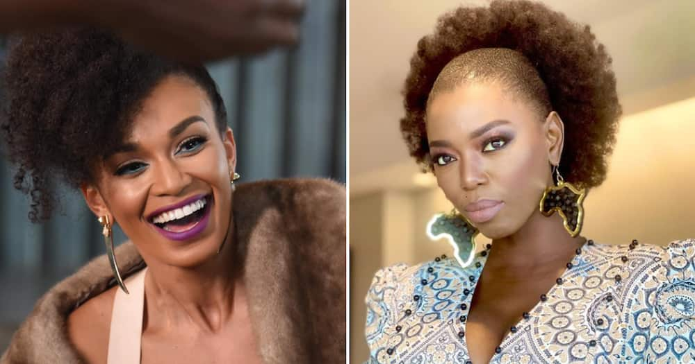 Pearl Thusi, Zahara, Lira, Zozibini Tunzi, Nomzamo Mbatha, Jo-Ann Strauss, Connie Ferguson, Mzansi celebs, natural hair, hair, stunners