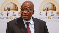 Jacob Zuma’s medical parole confirmed to be unlawful, appeal dismissed by SCA