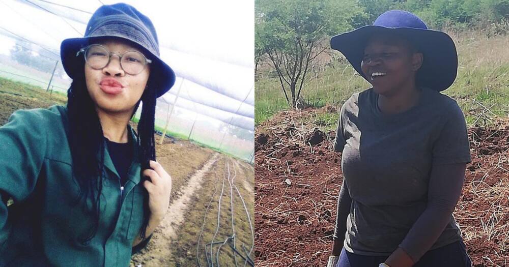 Female farmers, social media, reactions